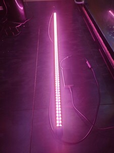 でんらい　朱紫龍灯　150cm水槽用　アロワナ　紅龍
