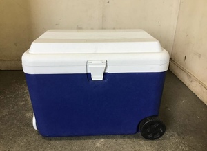 * Gifu departure ② cooler-box / шина, руль есть / голубой /60L/li защита колесо кондиционер / наклейка приклеивание после есть / текущее состояние товар R5.9/20*a