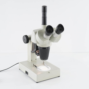 [DW] 8日保証 Carton 2-4倍 2×-4× SW10× カートン光学 Microscope 顕微鏡[05548-0002]