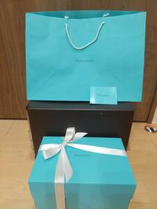 ■超美品!!■TIFFANY & CO. ティファニー■空き箱(貯金箱)■新品!!未使用!! 紙袋■ホワイトリボン■説明書■４点セット■