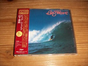 CD：山下達郎 ビッグ・ウェイブ Big Wave 30th Anniversary：帯付