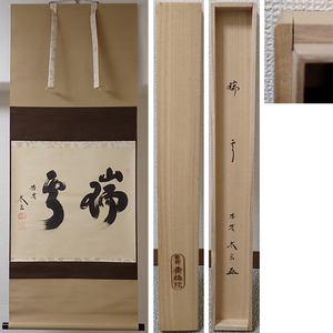 01952 前大徳寺 小林太玄 作 「瑞雲」掛軸（共箱）茶道具（茶掛/紫野）