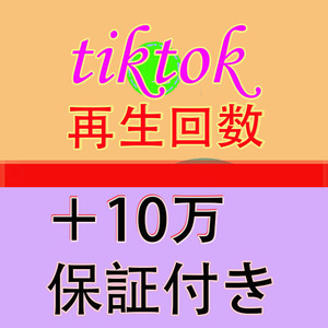 【おまけ 100000人Tiktok ティックトック 再生回数 10万】YouTube Tiktok 自動増加ツール インスタ フォロワー 再生数 チャンネル登録者数