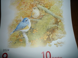 ☆　２０２４年　野鳥カレンダー　縦長サイズ　送料無料　☆