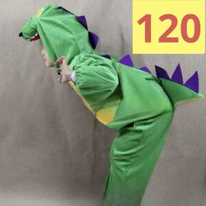 120 辰年 コスチューム 恐竜 きょうりゅう コスプレ 着ぐるみ 干支 仮装