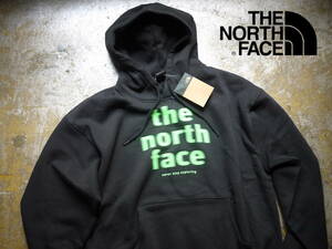 2023最新 US購入 新品 XL/ノースフェイス グラフィック ノイズロゴ スウェット パーカー THE NORTH FACE EVLN VINTAGE HOODIE