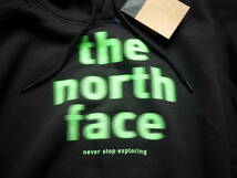 2023最新 US購入 新品 L/ノースフェイス グラフィック ノイズロゴ スウェット パーカー THE NORTH FACE EVLN VINTAGE HOODIE_画像3