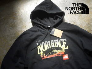 1.7万 US購入 新品 XL/ノースフェイス グラフィックロゴ スウェット パーカー THE NORTH FACE PLACES WE LOVE HOODIE