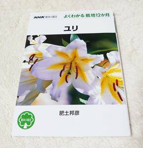  free shipping *NHK hobby. gardening good understand cultivation 12. month lily 