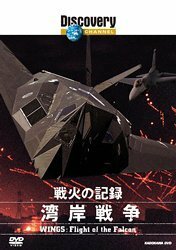 ディスカバリーチャンネル 戦火の記録:湾岸戦争 [DVD]　(shin