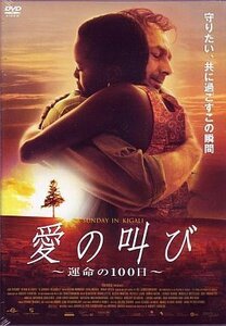 愛の叫び ~運命の100日~ [DVD]　(shin