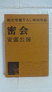 密会（純文学書下ろし特別作品）　(shin