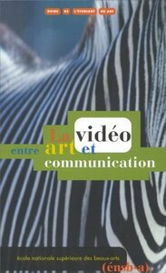 La video entre art et communication　(shin