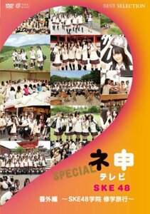 ネ申テレビ番外編 ~SKE48学院 修学旅行~ [DVD]　(shin