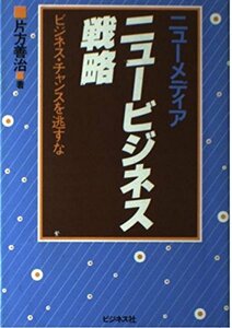 ニューメディア・ニュービジネス戦略―ビジネス・チャンスを逃すな　(shin