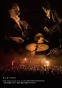 「11th Anniversary Live~僕らは変わらずに、変わり続ける旅をする2015~」 [DVD]　(shin