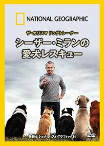 ナショナル ジオグラフィック ザ・カリスマ ドッグトレーナー シーザー・ミランの愛犬レスキュー [DVD]　(shin