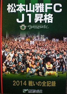 松本山雅FC J1昇格　2014 戦いの全記録　(shin