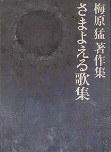 梅原猛著作集〈12〉さまよえる歌集 (1982年)　(shin