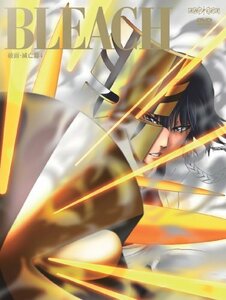 BLEACH 破面・滅亡篇 4(完全生産限定版) [DVD]　(shin