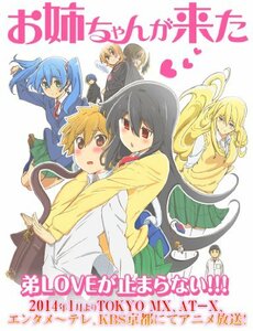 お姉ちゃんが来た [Blu-ray]　(shin