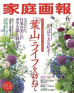 家庭画報 2017年 06月号　(shin