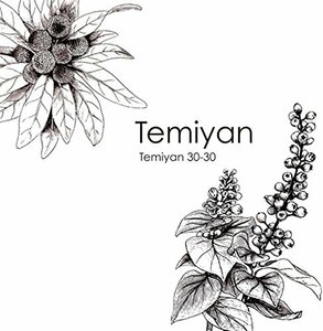 TEMIYAN 30-30　(shin