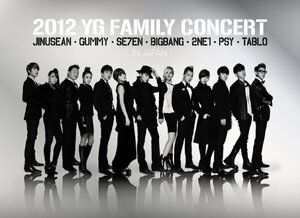 2012 YG Family Concert in Japan (3DVD) (初回生産限定盤)　(shin