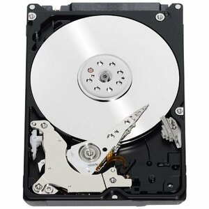 WD Scorpio Black 500 GB SATA 7200 RPM 16 MB Cache Bulk/OEM 2.5” Mobi　(shin