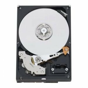 Western Digital HDD 250GB WD2500AVJS 3.5 SATA 3Gb 7200rpm 8MB RoHS [　(shin