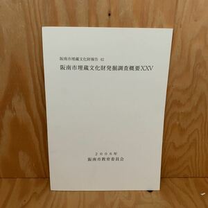 ☆さＣ‐181217レア〔阪南市埋蔵文化財発掘調査概要XXV　阪南市埋蔵文化財報告　42　2008年〕神光寺（蓮池）遺跡