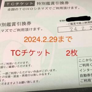 TCチケット TOHO 2024.2.29 2枚