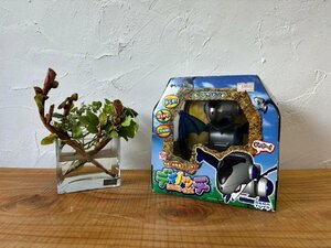 【現状品】SEGA TOYS セガトイズ ココロボシリーズ DINO-CHI ディノッチ ロボット玩具 知育玩具 昭和レトロ 希少