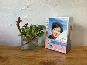 【未開封品】Sayuri Yoshinaga 吉永小百合 青春映画 特選DVD-BOX 全5巻