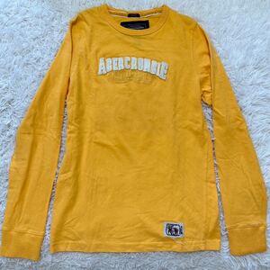 アバクロ Abercrombie&Fitch ロンT 長袖Tシャツ ロゴTシャツ カットソー 長袖 M アメカジ