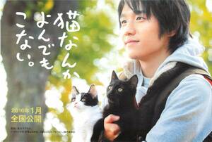 *2144『猫なんかよんでもこない。』試写状　風間俊介　つるの剛士　松岡茉優　市川実和子