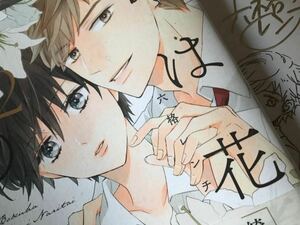 Art hand Auction BL 僕は花になりたい 六格レンチ直筆イラスト入りサイン本, 本, 雑誌, 漫画, コミック, ボーイズラブ