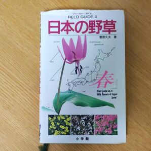 日本の野草　春 （小学館のフィールド・ガイドシリーズ　４） 菅原久夫／著