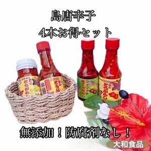 島唐辛子(コーレーグス)4本お得セット