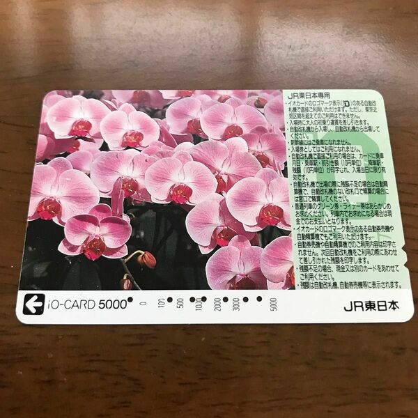 ＪＲ東日本　ミディ胡蝶蘭 io-CARD 【残額0】 JR