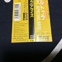 帯,ステッカー付【SEPULTURA/ARISE/セパルトゥラ/アライズ】APCY8047/1991年盤/1stプレス/スラッシュ/Thrash_画像4