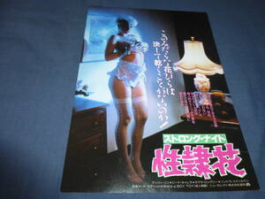 (67）洋ピン・映画チラシ「ストロング・ナイト　性隷花」アンバー・リン　ジーナ・キャレラ