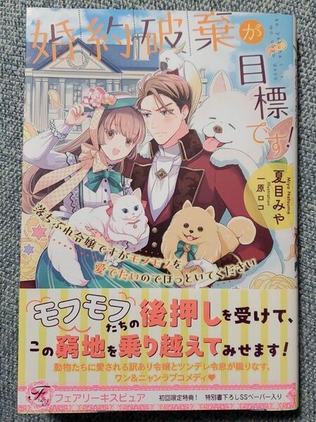 婚約破棄が目標です! 落ちぶれ令嬢ですがモフモフを愛でたいのでほっといてください