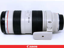 ◇美品◇Canon キャノン EF70-200mm F2.8L USM◇プロテクトフィルター フード 三脚座 ソフトケース付属★シャープでヌケ良い優れた描写性能_画像5