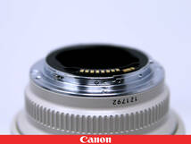 ◇美品◇Canon キャノン EF70-200mm F2.8L USM◇プロテクトフィルター フード 三脚座 ソフトケース付属★シャープでヌケ良い優れた描写性能_画像9