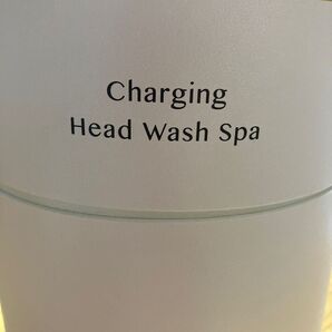 Charging Head Wash Spa ベッドスパ