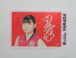 山田二千華　透明フィルムカード　ＮＥＣレッドロケッツ　女子バレー