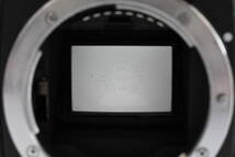 Nikon ニコン Nikon F100 フィルムカメラ（t5565）_画像7