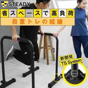 ディップススタンド STEADY 新開発TS System支柱 耐荷重150kg ディップスバーステディ 折りたたみ ディップスマ