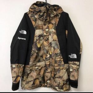 Supreme / The North Face Leaves Mountain Light Jacket "Leaves " M